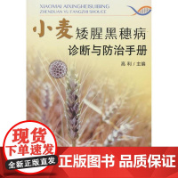 正版 小麦矮腥黑穗病诊断与防治手册 9787109321274 中国农业出版社 高利 编
