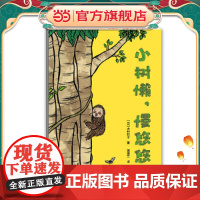 小树懒,慢悠悠(快和慢的标准是什么?帮助孩子建立正确的时间观念)