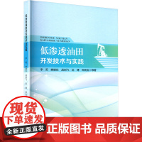低渗透油田开发技术与实践 李莉 等 著 专业科技 能源科学 石油 天然气工业 正版图书籍石油工业出版社