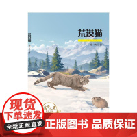 荒漠猫 胡一鸣 著 儿童文学少儿 正版图书籍 吉林大学出版社
