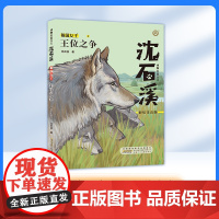 王位之争 彩绘注音版 动物小说一二三年级123年级课外阅读书籍fbx小学生课外阅读寒暑假书籍沈石溪的书短篇小说 狼王梦姊