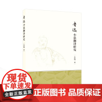 鲁迅小说翻译研究 王树槐 著 武汉大学出版社 中国现当代文学理论 文学理论/文学评论与研究