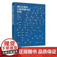 沸石在催化三聚甲醛中的应用 MFI分子筛催化剂研究 三聚甲醛合成技术 工业催化剂设计手册 化学与工程技术专业领域科研人员