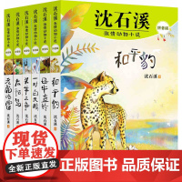 沈石溪激情动物小说拼音版太阳鸟和平豹母牛蓝铃老虎哈雷头羊之争一对白天鹅 6-10岁小说大王平装