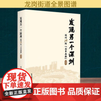 发现另一个深圳 深圳78街 全景画像 龙岗 本书编委会 编 海天出版社 各国地理 国家/地区概况