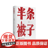 半条被子 志在飞著 安徽文艺出版社
