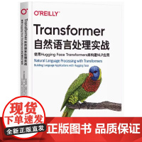 Transformer自然语言处理实战 使用Hugging Face Transformers库构建NLP应用 路易斯