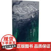 迟湖(艺文志·小说)(苏童,张定浩,00后写作者、“真金·青年文学写作”总冠军小说集)9787532190164 上海文