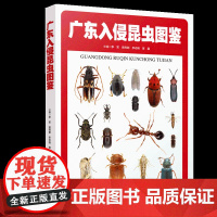广东入侵昆虫图鉴 7目37科75属98种入侵昆虫 详细介绍每种昆虫中文名拉丁学名分类地位形态特征危害寄主分布起源地及首次
