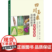 四川玉米病虫草害原色图谱与防治技术 龚国淑 等 编 农业基础科学专业科技 正版图书籍 中国农业科学技术出版社