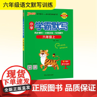 小学学霸默写 六年级上 辽宁教育出版社 牛胜玉 编 小学语文单元测试 小学教辅