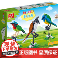 积木鸟 广东教育出版社 广东教育出版社科学项目组著 著作 手工制作 幼儿早教/少儿英语/数学