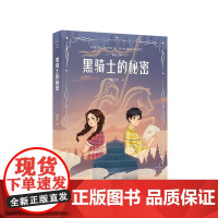 秘密之旅 黑骑士的秘密 邹凡凡 著 儿童文学少儿 正版图书籍 云南美术出版社