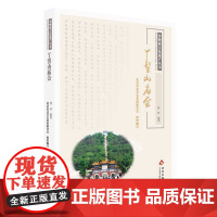 非物质文化遗产丛书-丫髻山庙会