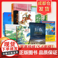 25年四川省少先队阅读大赛小学高段组8册 中国少年儿童出版社等 中国登山协会 编等 儿童文学 科普百科