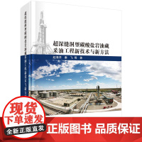 超深缝洞型碳酸盐岩油藏采油工程新技术与新方法 预计发货08.04
