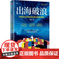 出海破浪 中国企业的全球征途与制胜策略 王勇著 正版中信出版社