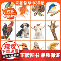 彩铅临摹卡动物篇2022一线美誉步骤对应美术绘画卡片兴趣高清原创