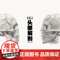 艺用头像解刨(赖小明)头部机构人体透视人体结构肖像临摹人物