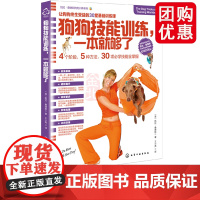 凯拉桑德斯狗狗训养系列 狗狗技能训练 一本就够了 养狗指南书狗狗训练教程 心理学训练狗狗的教程 训犬书方法大全技巧食谱狗