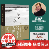 父父子子 梁晓声 新长篇力作电视剧人世间原著作者现当代散文集 一部中华民族50年奋斗史励志跨国视角海外华人近现代史 文学