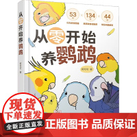 从零开始养鹦鹉 何可可 著 宠物