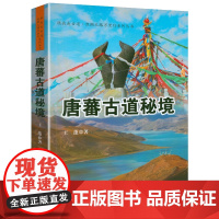 唐蕃古道秘境 唐蕃古道介绍丝绸之路茶马古道这才是丝绸之路大历史远略雄心西域两千年书籍