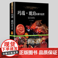 [软精装]远古精灵:玛瑙·琥珀收藏与鉴赏 世界高端文化珍藏图鉴大系书籍