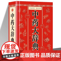 中药大辞典 医学古籍正版药典书常见病诊断与用药临床用药手册中医方剂辞典中药药理学教材字典大全书中草药材药方速查辞典书籍