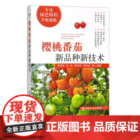 樱桃番茄新品种新技术 30543