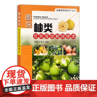 图说柚类优质高效栽培技术 26127 柚子 优质栽培 西柚 蜜柚 优质高效 栽培技术 柚子种植 经济作物 水果 丑桔