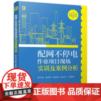 配网不停电作业项目现场实训及案例分析 电网作业 电网检修 电网 配电网 配网线损 电力设备测试 电力设备检修