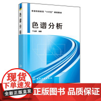 色谱分析 丁立新 9787122348968 化学工业出版社