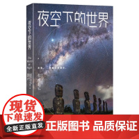 凤凰壹力夜空下的世界[金城]DF