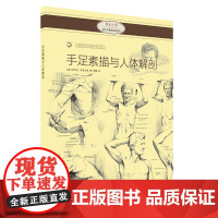 手足素描与人体解剖 西方绘画技法经典教程 素描技法 教材
