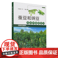 蚕豆和豌豆高效种植新技术 9787109326408 许林英 编 中国农业出版社