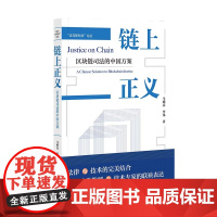 正版 炼上正义:区块炼司法的中国方案 马明亮 李伟 著 社会科学文献出版社 9787522818139