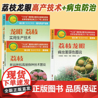 [3册]荔枝、龙眼高产技术+新品种+病虫害防治 龙眼荔枝实用生产技术 荔枝病虫害防治 荔枝高效种植栽培实用技术手册