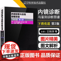 内镜诊断与鉴别诊断图谱 下消化道第2版 主编日 多田 正大 9787538193039