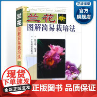 [无膜旧书]兰花图解简易栽培法 可供兰花爱好者、园林花卉工作者阅读参考 内容丰富 形式新颖 图文结合 文字简练 出版社