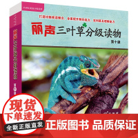 外研社 丽声三叶草分级读物第十级(16册)