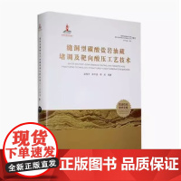 全新正版 缝洞型碳酸盐岩油藏提高采收率理论与关键技术丛书 卷五 缝洞型碳酸盐岩油藏堵调及靶向酸压工艺技术9787563