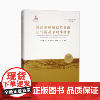 全新正版 缝洞型碳酸盐岩油藏提高采收率理论与关键技术丛书 卷四 缝洞型碳酸盐岩油藏注气提高采收率技术 9787563