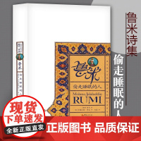 鲁米 偷走睡眠的人 鲁米 著 诗集 波斯伊斯兰教苏菲派圣哲、诗人 宗教家 东方诗人 华夏出版社 正版书