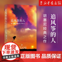 追风筝的人正版 胡塞尼作品集英文版中文翻译现当代文学中文小说 摆渡人 偷影子的人 书 书籍