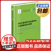 [正版]核动力直流蒸汽发生器中的汽液两相流动与传热 史建新 哈尔滨工业大学出版社