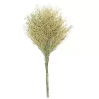 豫凯达大扫把4斤把