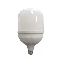 吉光汇呈 G0201 20W 220V 6500K 白光 LED超亮大功率球泡 (计价单位:个) 白色