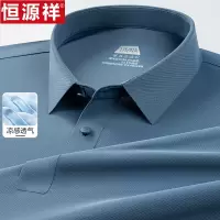 恒源祥短袖T恤男士无痕夏季休闲商务翻领polo衫爸爸装凉感薄体恤