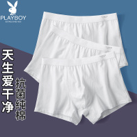 花花公子纯白色内裤男平角夏季纯棉裆男生抗菌浅色薄款四角裤